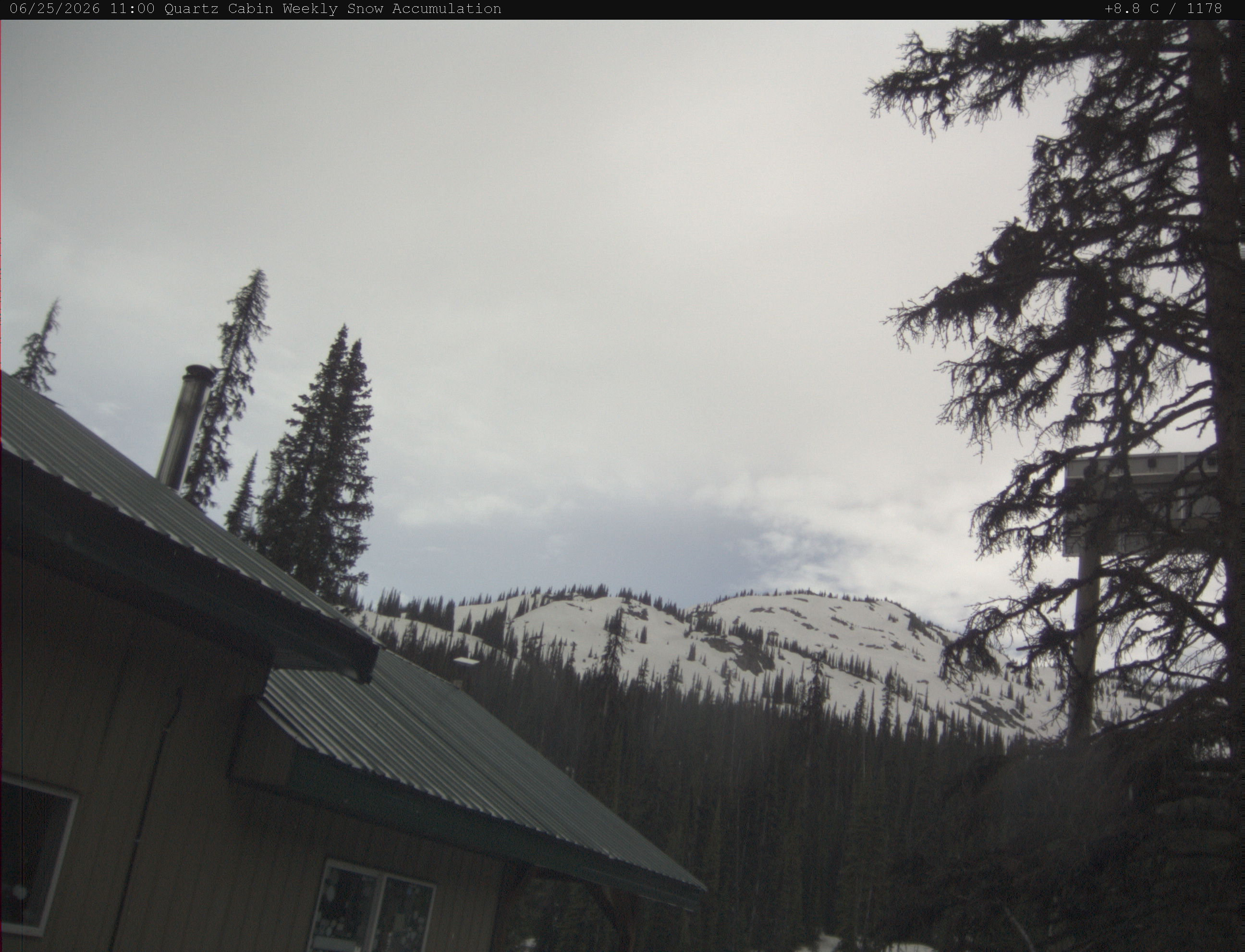 Quartz Creek Snow Stake