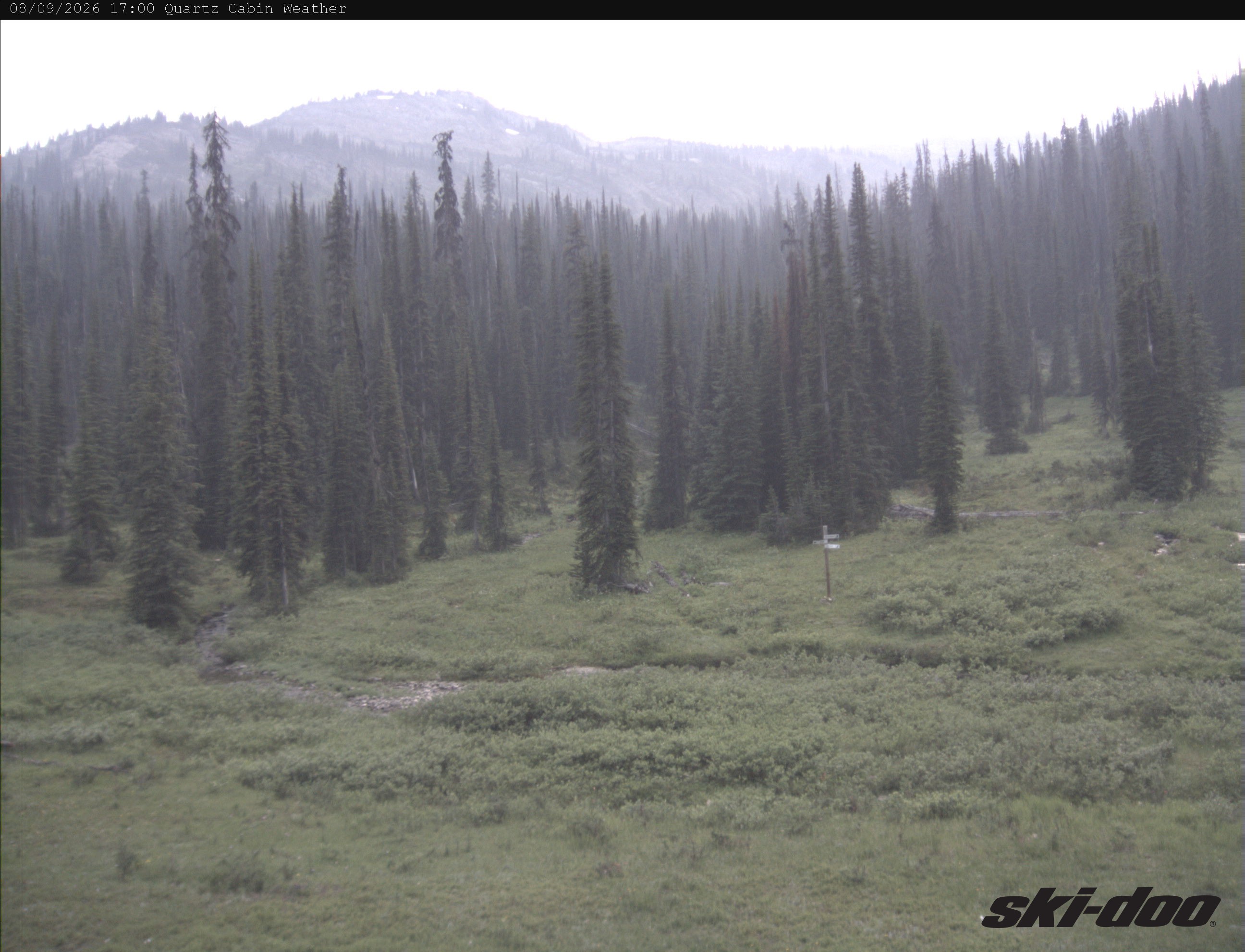 Quartz Creek Cabin View